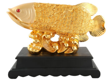 Image of product photography in Varanasi (6)